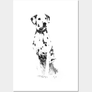 Dalmatian dog Posters and Art